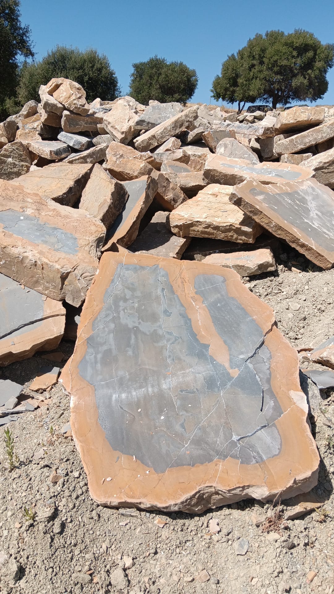 Piedra laja para revestimientos en Málaga